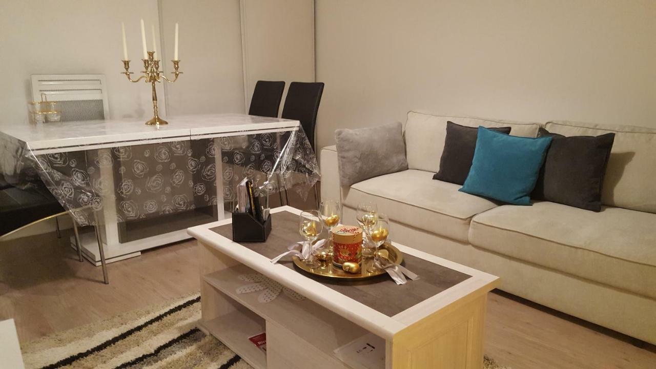 Appartement Spacieux Avec Terrasse Pres De Paris Et Du Stade De France Saint-Denis  Eksteriør bilde